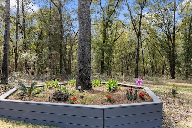 view of yard with a forest view