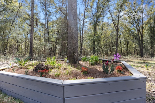 view of yard featuring a wooded view