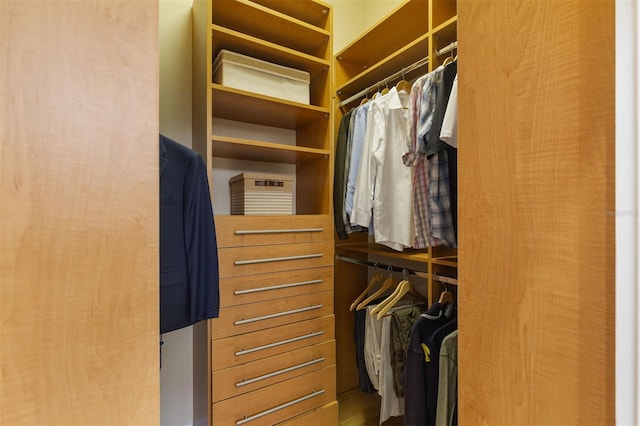 view of walk in closet