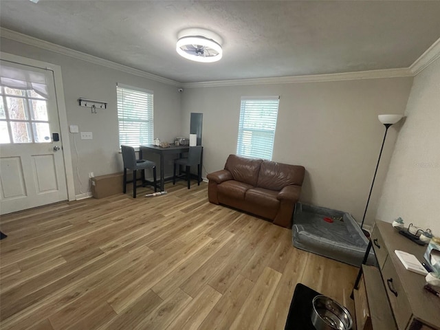 living area featuring light wood-style floors, a wealth of natural light, and crown molding