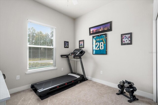 exercise room featuring carpet flooring and baseboards