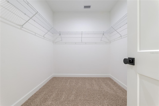 spacious closet featuring carpet flooring and visible vents