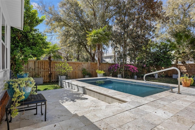 view of pool featuring a fenced backyard, a fenced in pool, and a patio