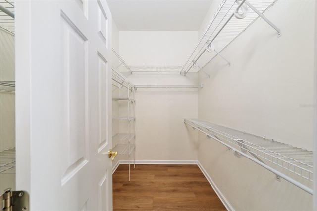 walk in closet featuring wood finished floors