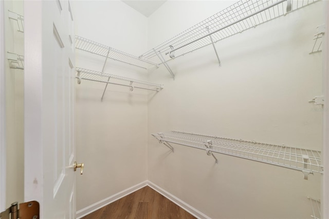 spacious closet featuring dark wood finished floors