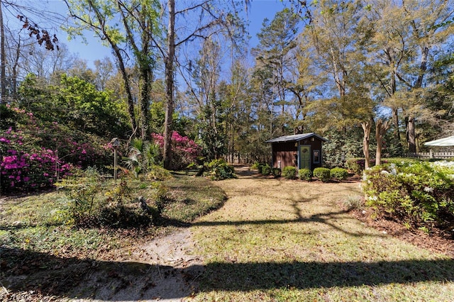 view of yard with an outbuilding and a storage unit