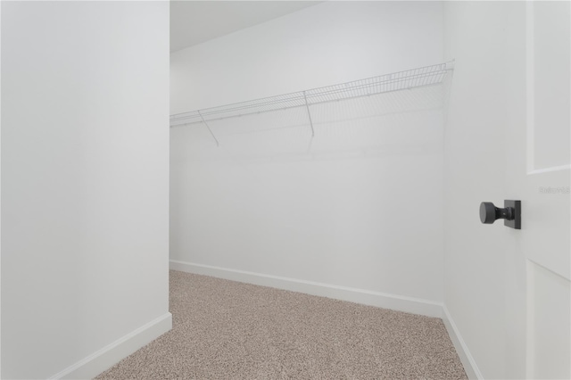 spacious closet with carpet floors