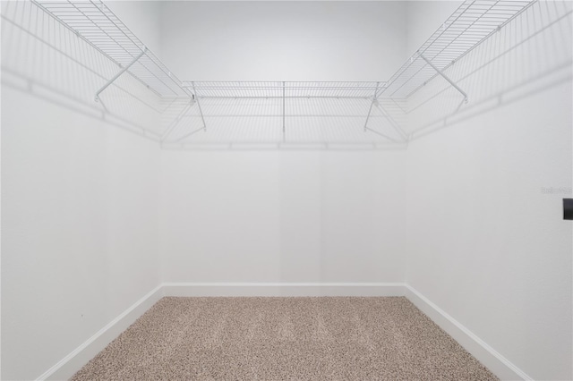 walk in closet featuring carpet floors