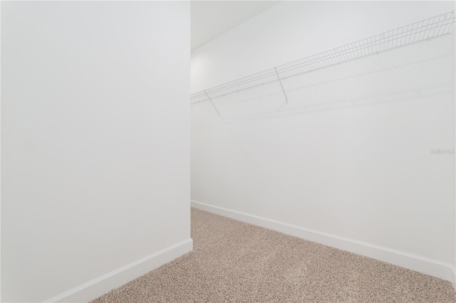 spacious closet with carpet