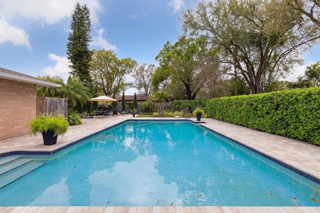 view of swimming pool with fence, a fenced in pool, and a patio