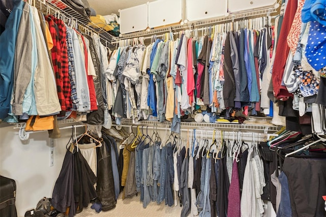 906 Crestview Dr, Auburndale, FL 33823 - view of walk in closet