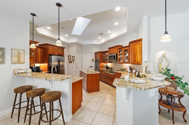 kitchen with stainless steel appliances, a tray ceiling, a peninsula, and a skylight