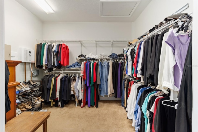 spacious closet featuring carpet and attic access