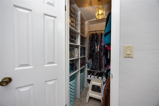 view of walk in closet