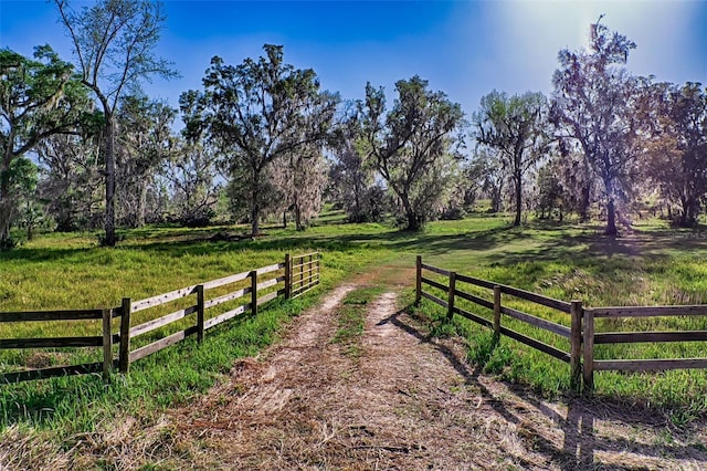 8604 NW 215th St, Micanopy FL, 32667 land for sale