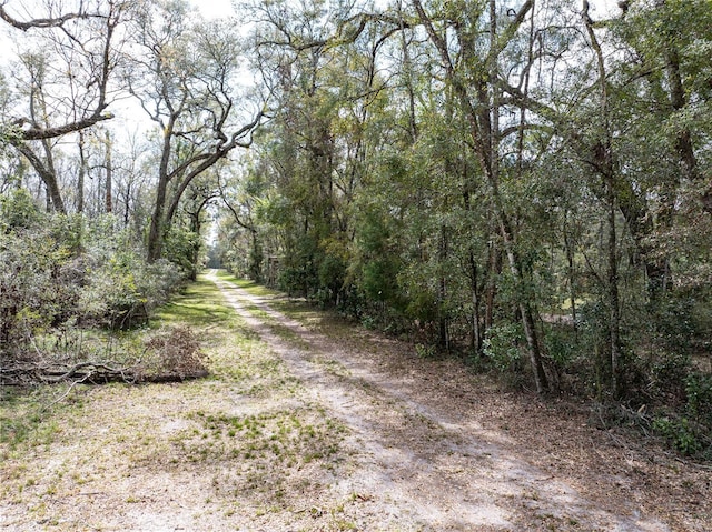 view of road with a forest view