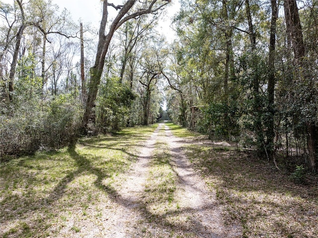 view of street featuring a wooded view