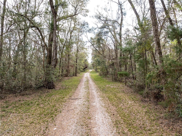 view of street with a wooded view