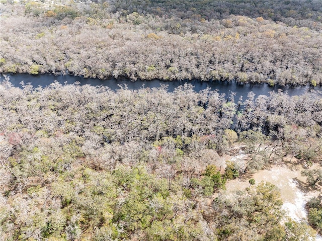 drone / aerial view with a water view and a forest view