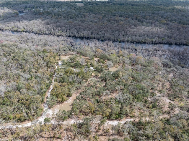 bird's eye view with a water view and a wooded view