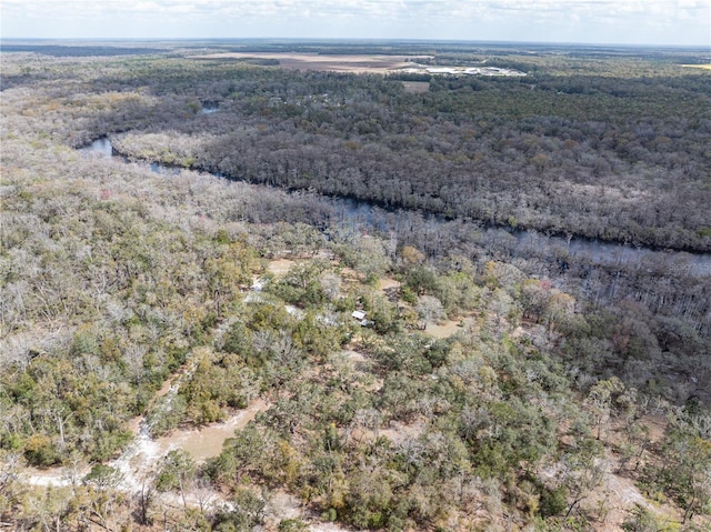 aerial view with a forest view