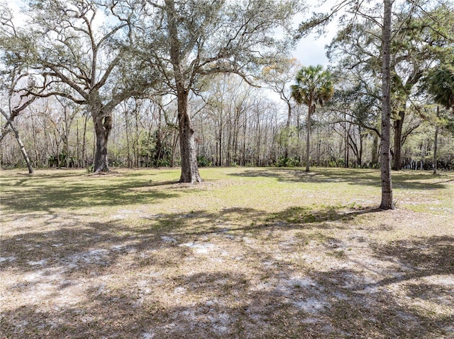 view of yard featuring a wooded view