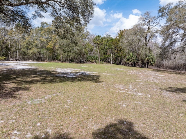 view of yard featuring a view of trees