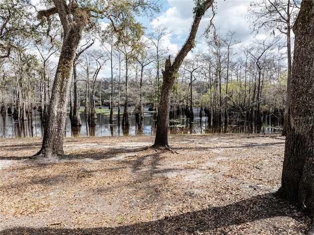 view of landscape featuring a water view and a forest view