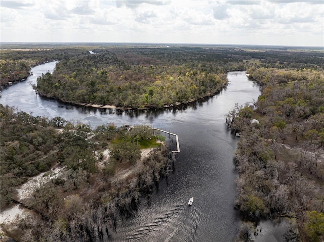 aerial view with a water view and a wooded view