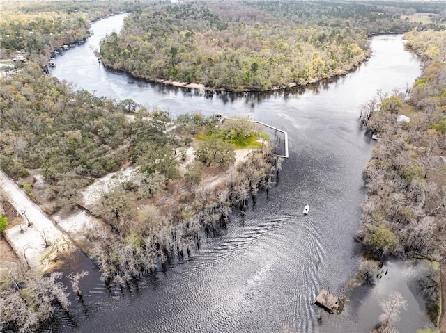 bird's eye view featuring a forest view and a water view