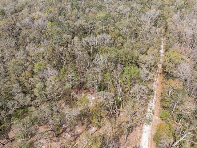 bird's eye view with a view of trees