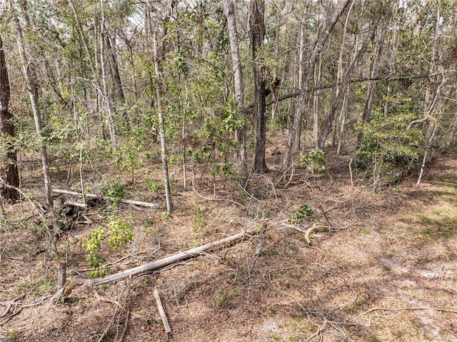 view of local wilderness featuring a forest view