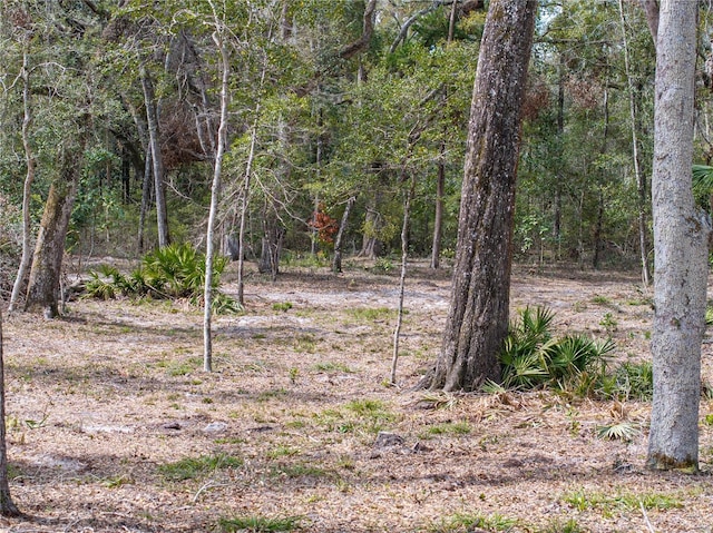 view of local wilderness with a view of trees