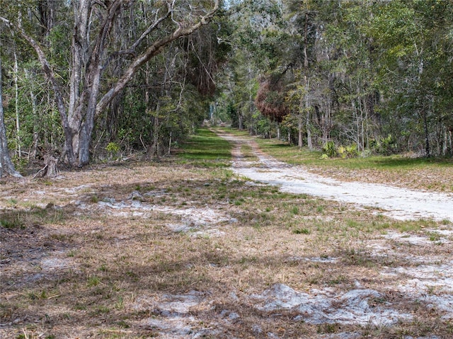 view of street featuring a forest view