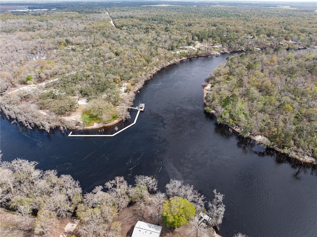 bird's eye view with a water view and a wooded view