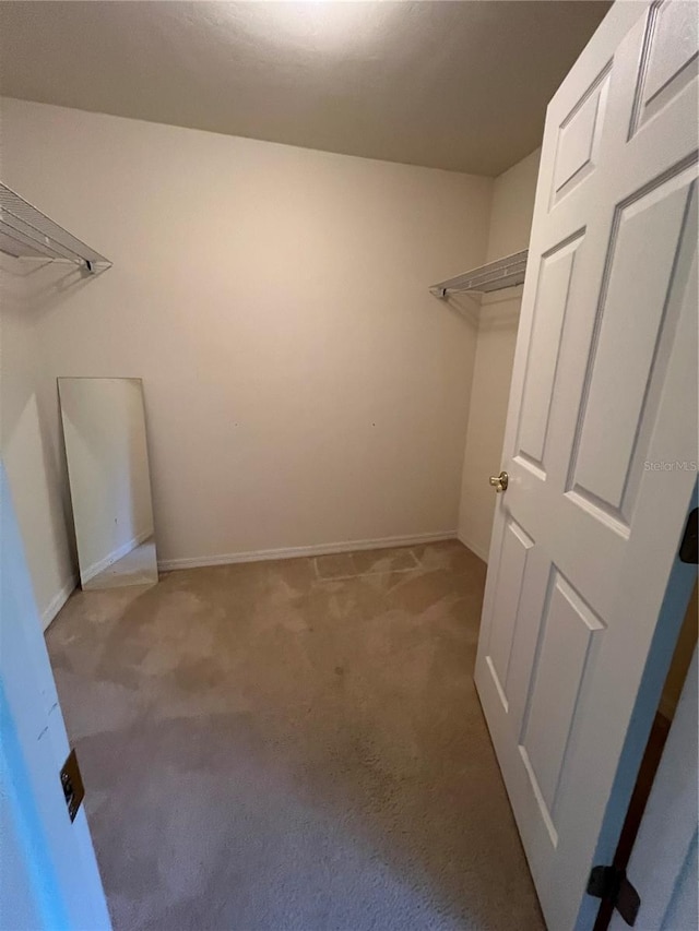 walk in closet featuring carpet