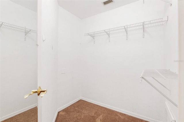 spacious closet with visible vents and carpet flooring