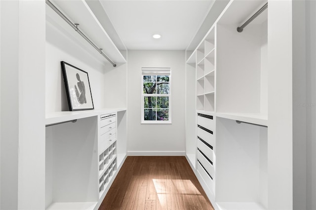 walk in closet featuring dark wood-type flooring