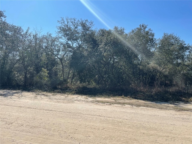 000 NE 93rd Ln, Bronson FL, 32621 land for sale