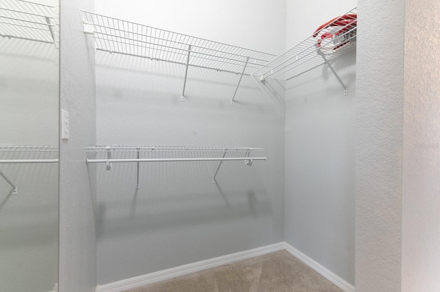 spacious closet featuring carpet flooring