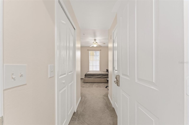 corridor with carpet floors