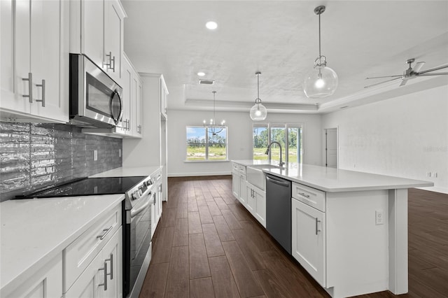 kitchen featuring decorative backsplash, dark wood-type flooring, a tray ceiling, stainless steel appliances, and a sink