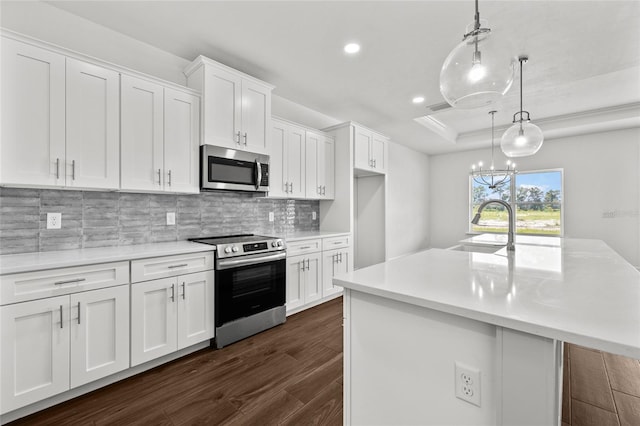 kitchen with dark wood-style floors, a tray ceiling, appliances with stainless steel finishes, white cabinets, and a sink