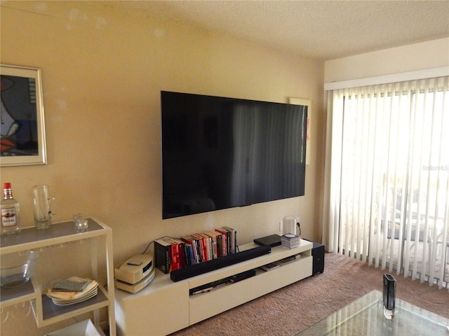 living area with a textured ceiling and carpet flooring