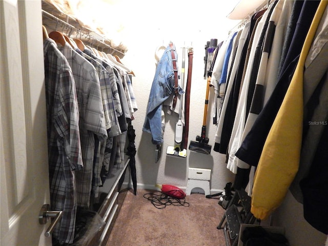 spacious closet featuring carpet flooring