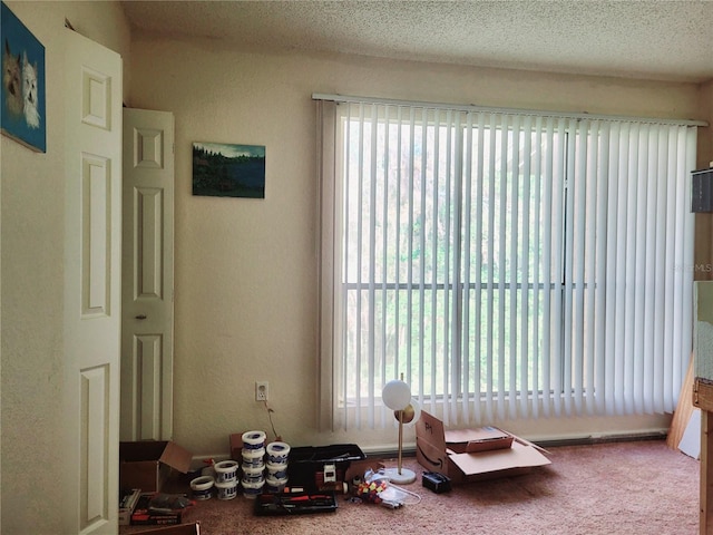 interior space featuring a healthy amount of sunlight, a textured ceiling, and carpet flooring