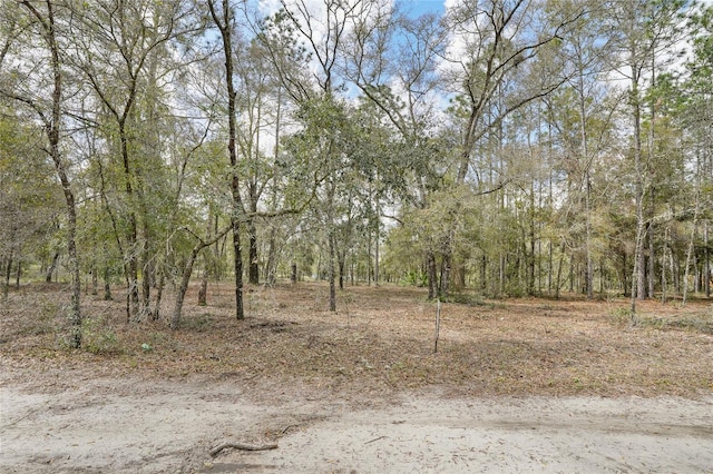 Listing photo 2 for TBD NE 102nd Ct, Bronson FL 32621