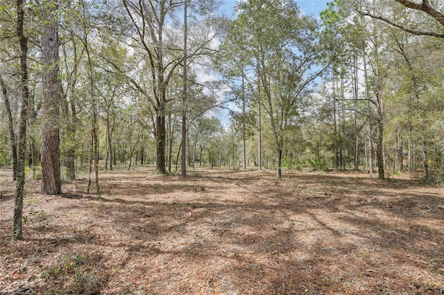 TBD NE 102nd Ct, Bronson, FL 32621 - photo 2