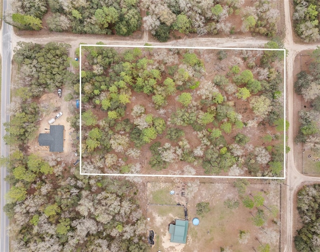 TBD NE 102nd Ct, Bronson, FL 32621 - photo 4