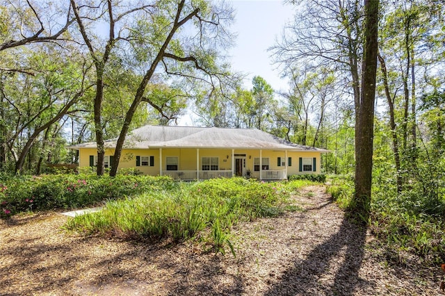 4026 NW 33rd Ave, Gainesville, FL 32606 - photo 4